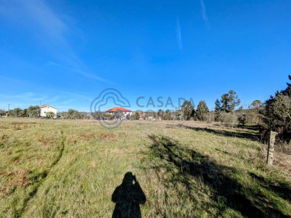 Terreno para Venda em Tavares (Chãs, Várzea e Travanca) Foto 6