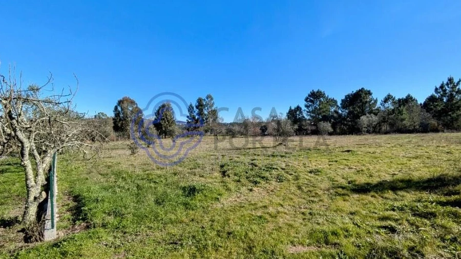 Terreno para Venda em Tavares (Chãs, Várzea e Travanca)