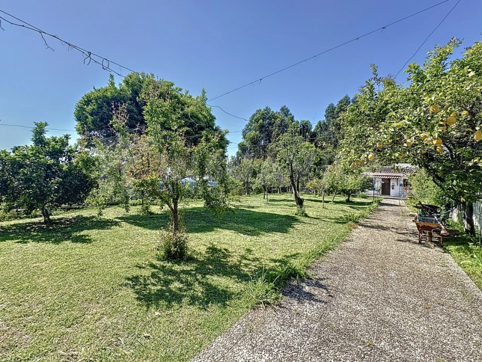 Moradia T11 para Venda em Moledo e Cristelo Foto 79