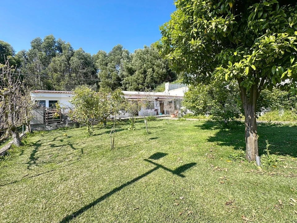 Moradia T11 para Venda em Moledo e Cristelo Foto 78