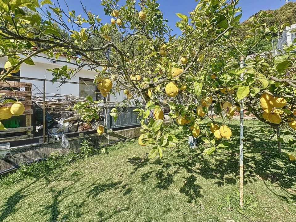 Moradia T11 para Venda em Moledo e Cristelo Foto 77