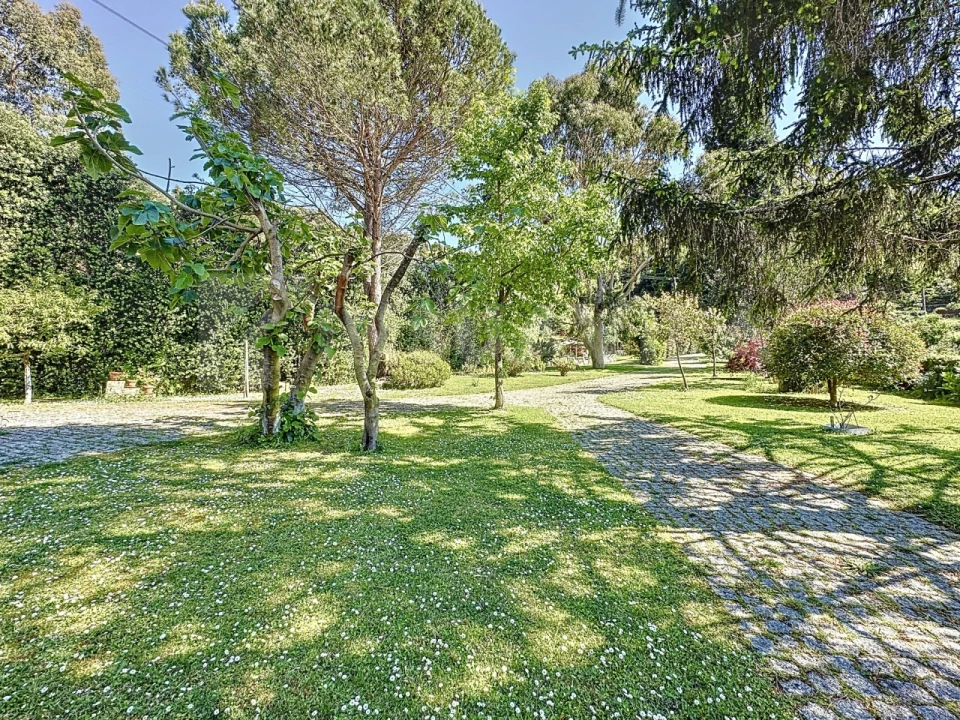 Moradia T11 para Venda em Moledo e Cristelo Foto 5