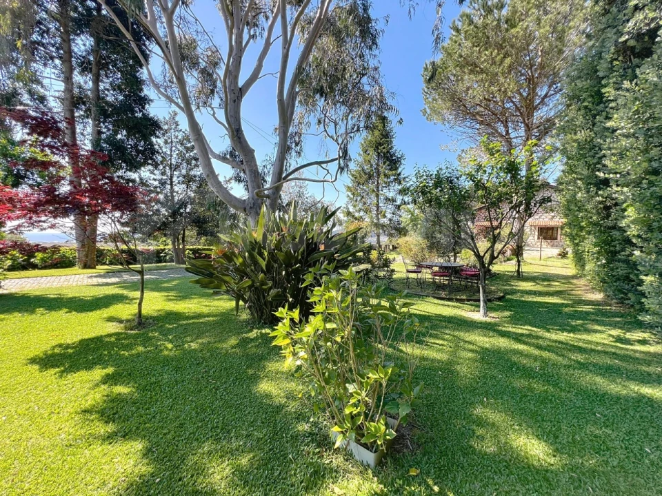 Moradia T11 para Venda em Moledo e Cristelo Foto 70