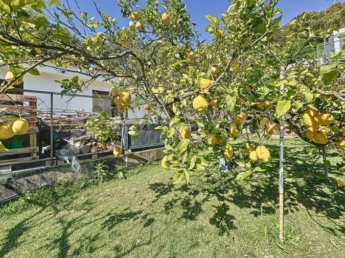 Moradia T11 para Venda em Moledo e Cristelo Foto 77