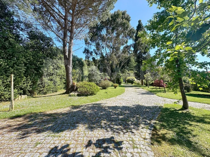 Moradia T11 para Venda em Moledo e Cristelo Foto 3