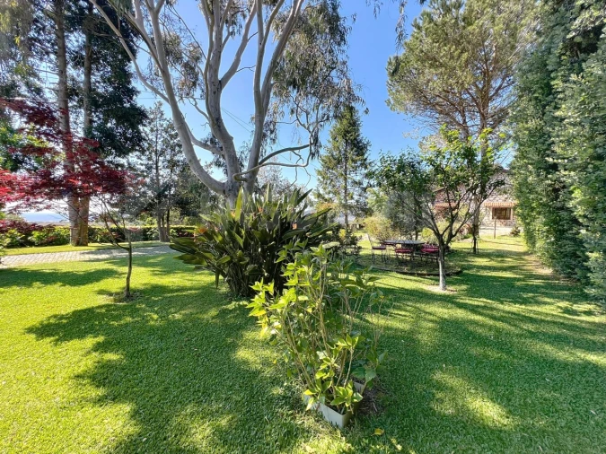 Moradia T11 para Venda em Moledo e Cristelo Foto 70