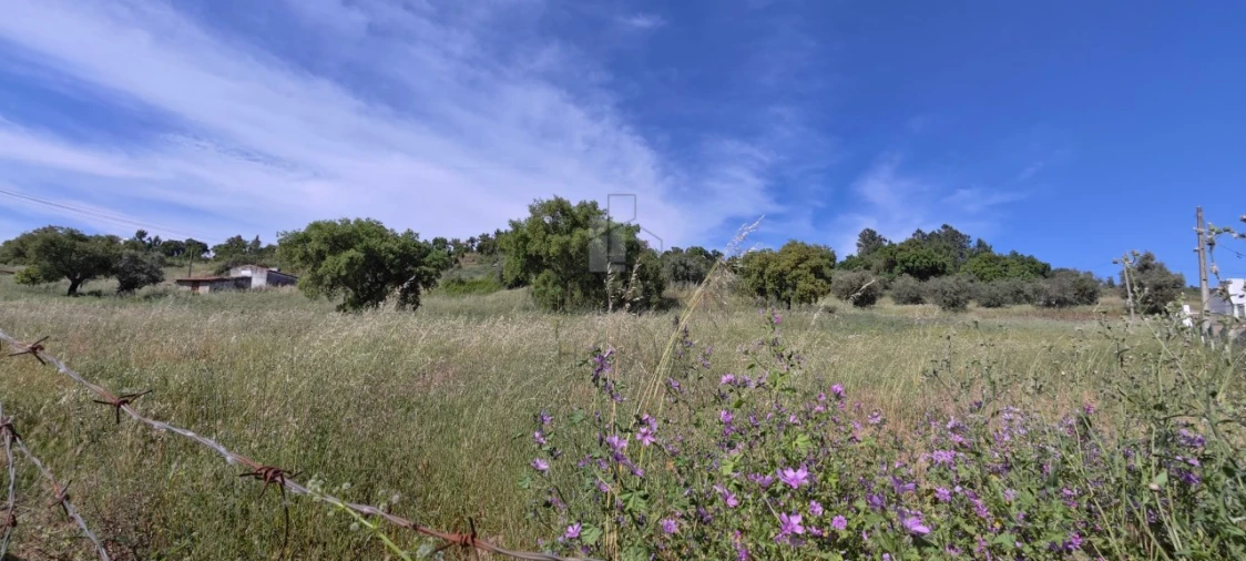 Terreno Misto para Venda em Sé e São Lourenço Foto 7