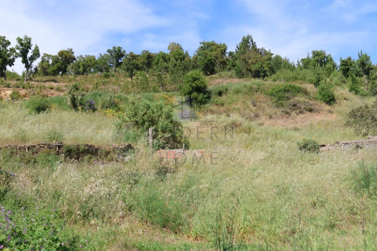 Terreno Misto para Venda em Sé e São Lourenço Foto 4