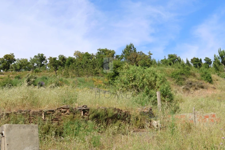 Terreno Misto para Venda em Sé e São Lourenço Foto 13
