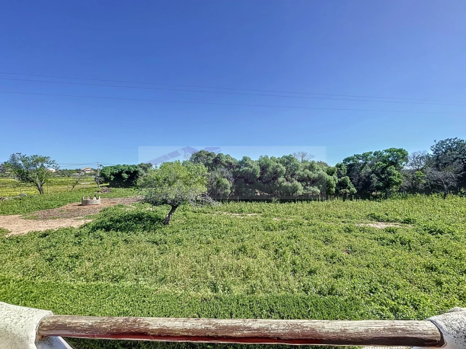 Moradia T4 para Venda em Guia Foto 43