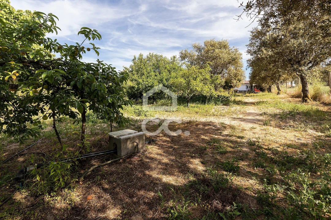 Quinta T2 para Venda em Mora Foto 25