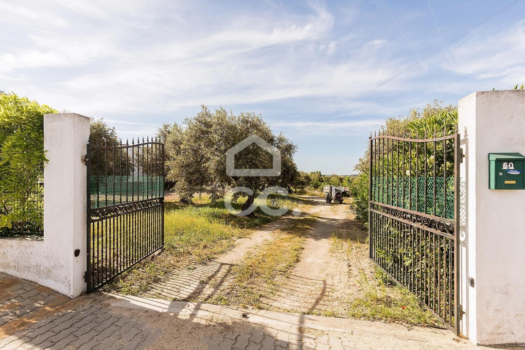 Quinta T2 para Venda em Mora Foto 6