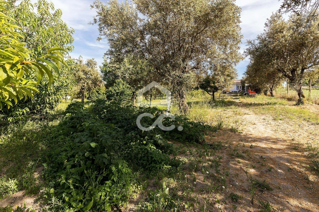 Quinta T2 para Venda em Mora Foto 26