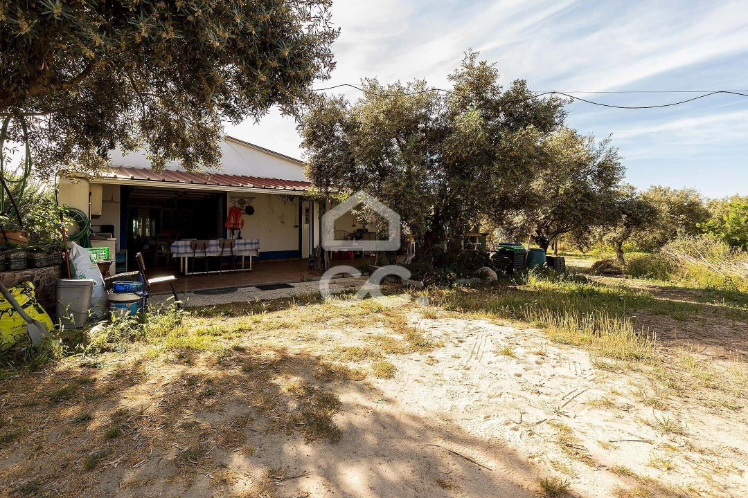 Quinta T2 para Venda em Mora Foto 22