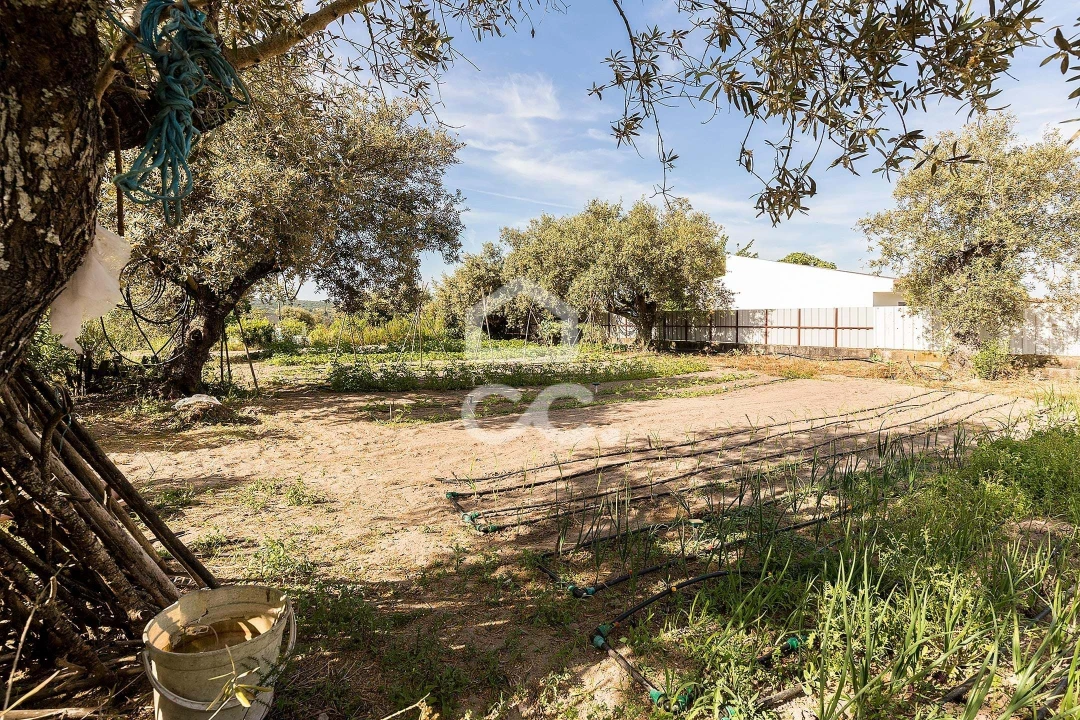 Quinta T2 para Venda em Mora Foto 28