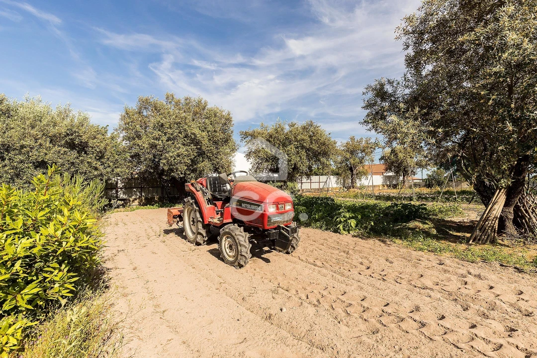 Quinta T2 para Venda em Mora Foto 32