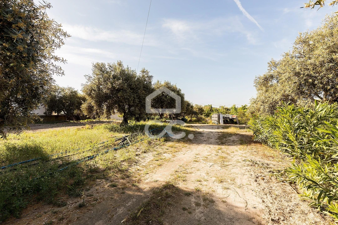 Quinta T2 para Venda em Mora Foto 69