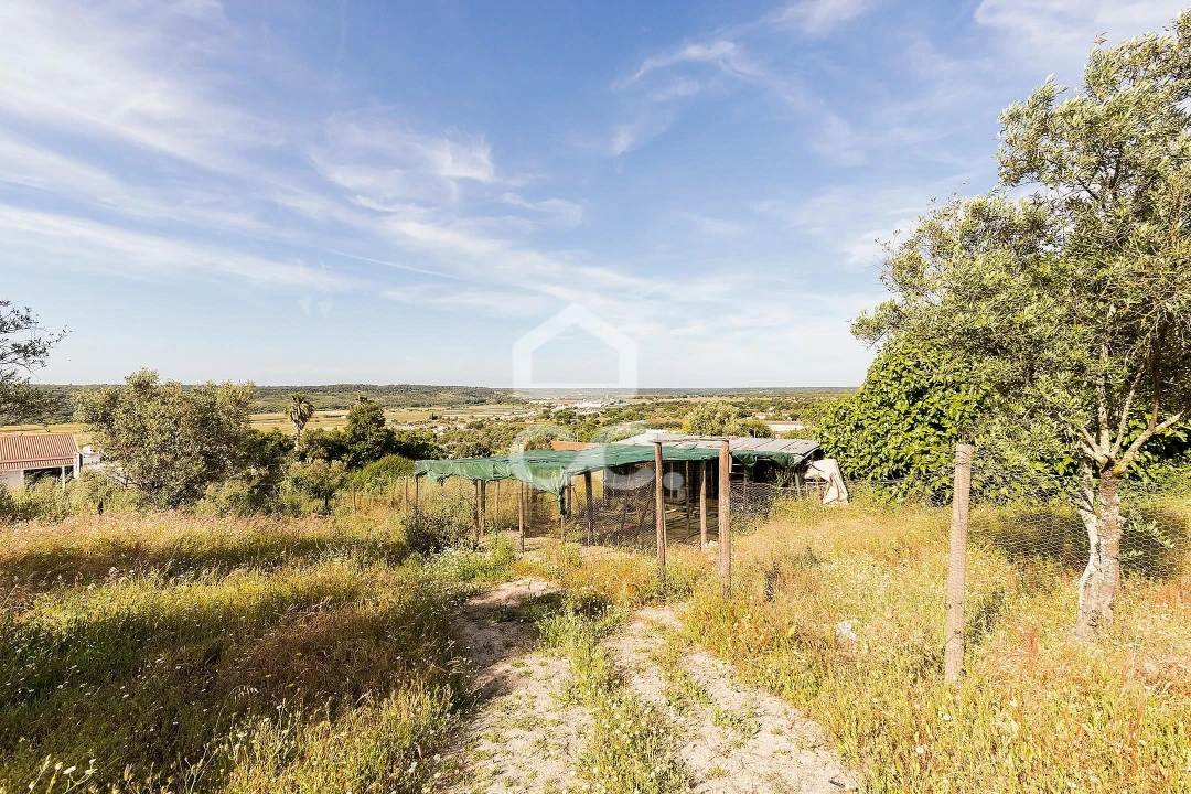 Quinta T2 para Venda em Mora Foto 65