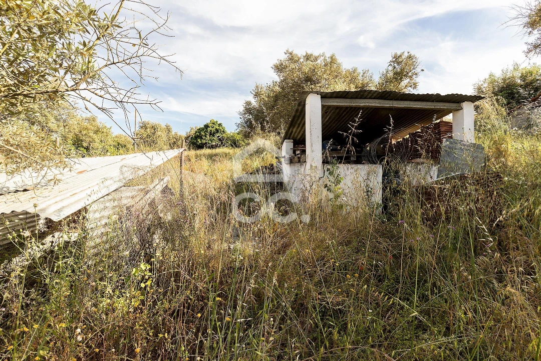 Quinta T2 para Venda em Mora Foto 66