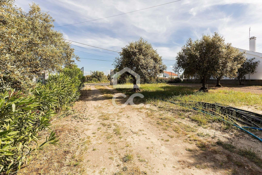 Quinta T2 para Venda em Mora Foto 31