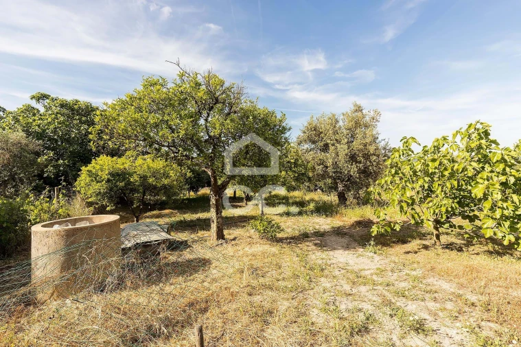 Quinta T2 para Venda em Mora Foto 62