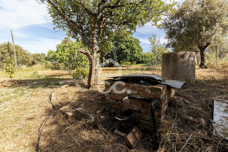 Quinta T2 para Venda em Mora Foto 24