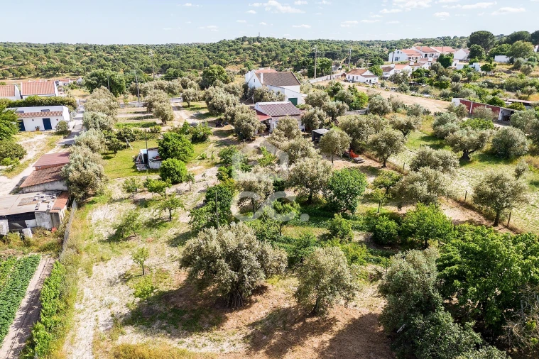 Quinta T2 para Venda em Mora Foto 54