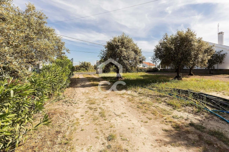 Quinta T2 para Venda em Mora Foto 31