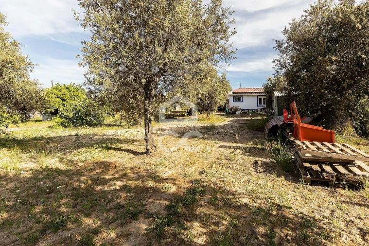 Quinta T2 para Venda em Mora Foto 23