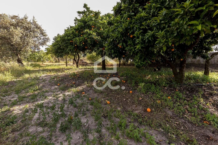 Quinta T2 para Venda em Mora Foto 64