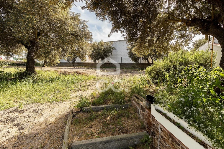 Quinta T2 para Venda em Mora Foto 30