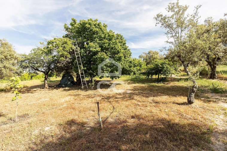 Quinta T2 para Venda em Mora Foto 39