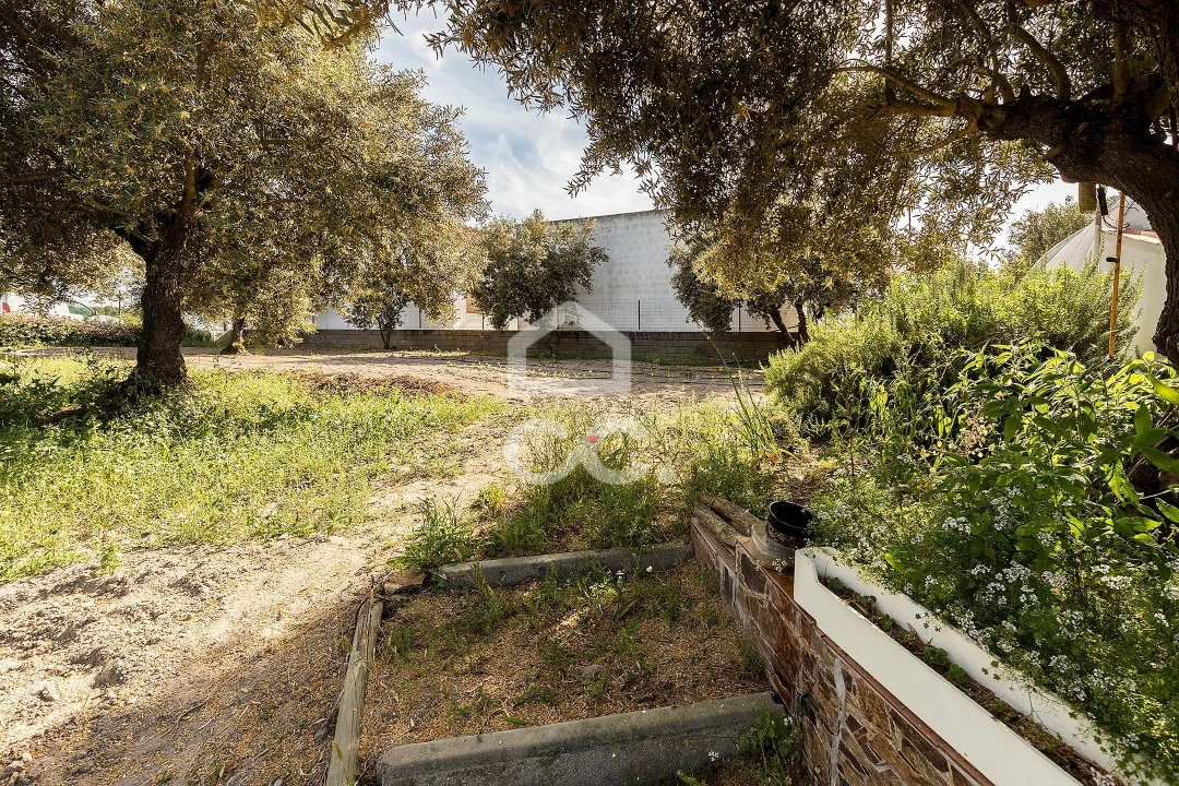 Quinta T2 para Venda em Mora Foto 30