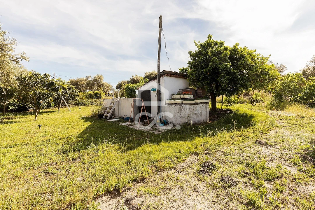 Quinta T2 para Venda em Mora Foto 34