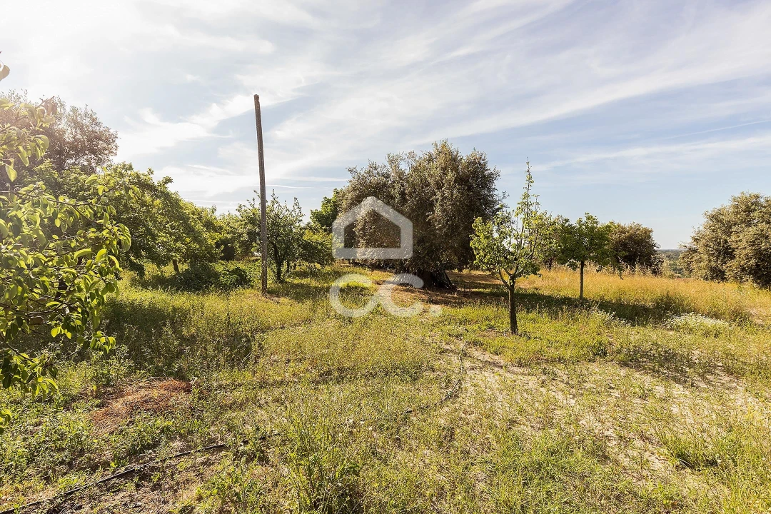 Quinta T2 para Venda em Mora Foto 38