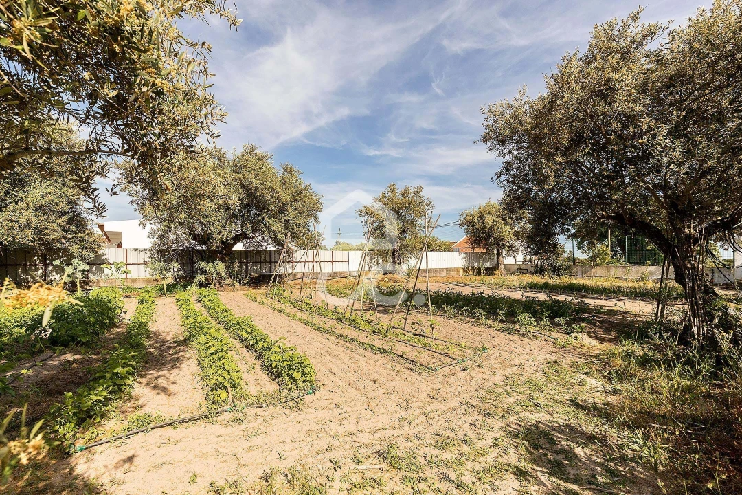 Quinta T2 para Venda em Mora Foto 29