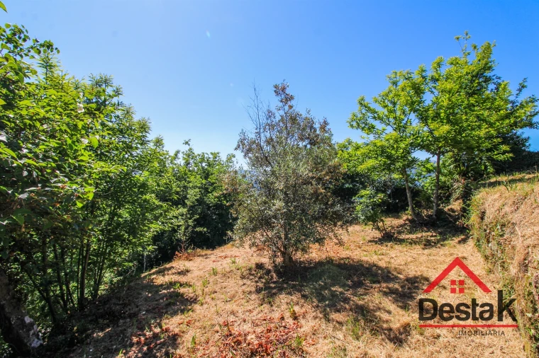 Terreno para Venda em São Pedro do Sul, Várzea e Baiões Foto 9