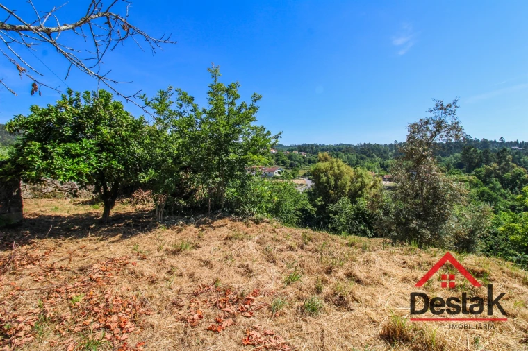 Terreno para Venda em São Pedro do Sul, Várzea e Baiões Foto 6