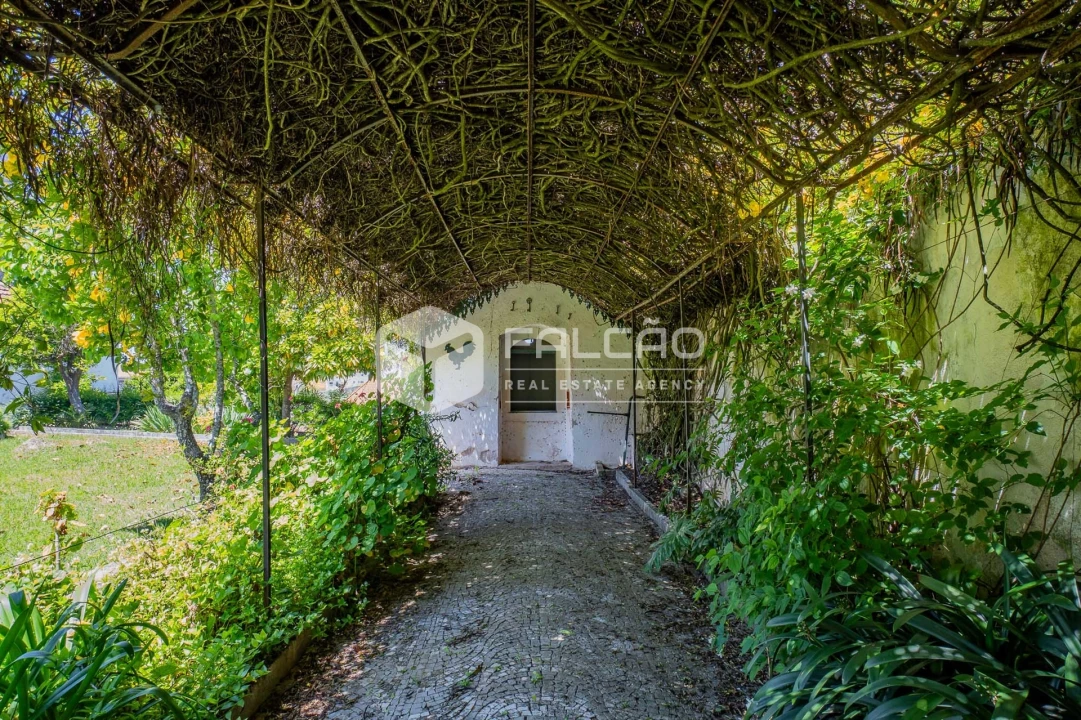 Moradia T10 para Venda em Alcanena e Vila Moreira Foto 80