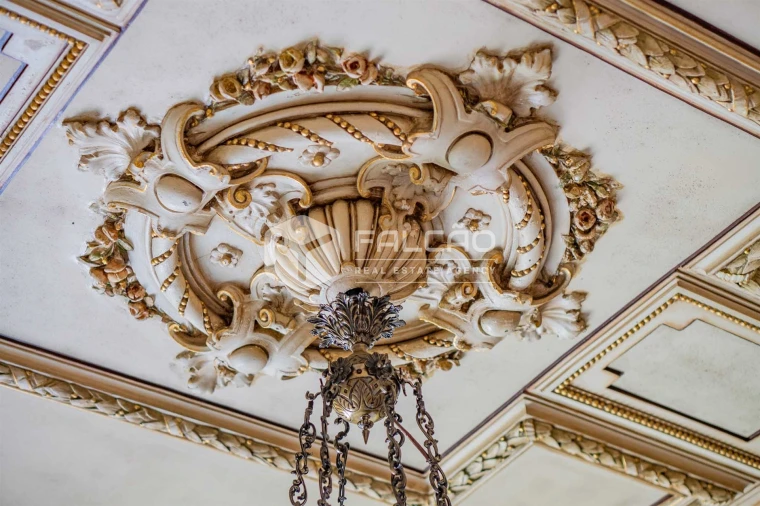 Moradia T10 para Venda em Alcanena e Vila Moreira Foto 95