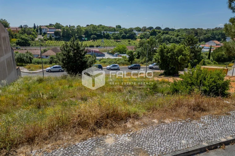 Terreno para Venda em Marvila, Ribeira Santarém, São Salvador, São Nicolau Foto 21