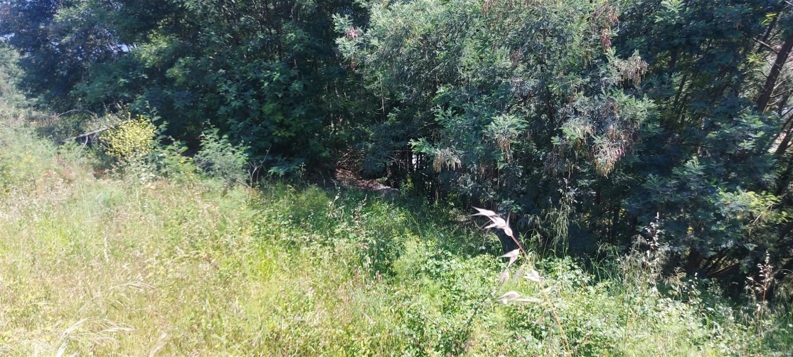Terreno para Venda em Lousã e Vilarinho Foto 7