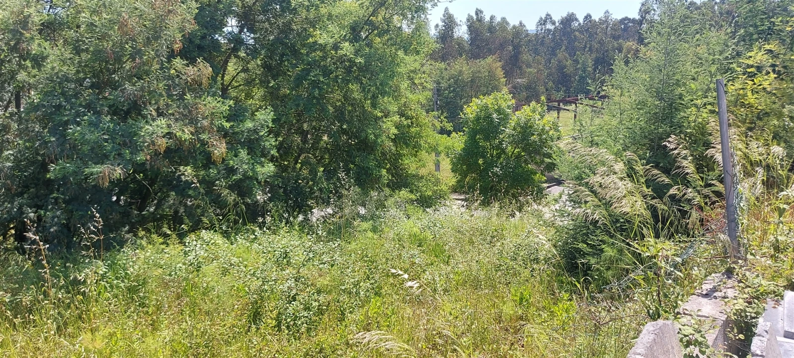 Terreno para Venda em Lousã e Vilarinho Foto 12