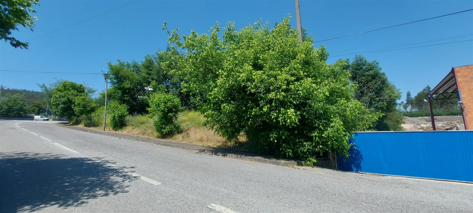 Terreno para Venda em Lousã e Vilarinho Foto 13