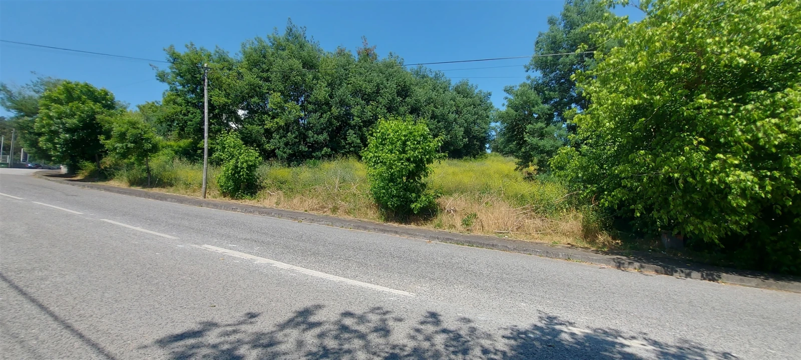Terreno para Venda em Lousã e Vilarinho Foto 19