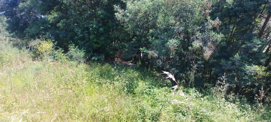 Terreno para Venda em Lousã e Vilarinho Foto 7