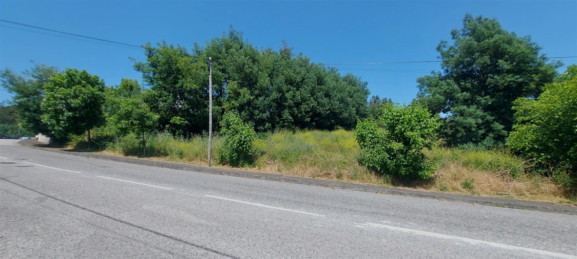 Terreno para Venda em Lousã e Vilarinho Foto 1
