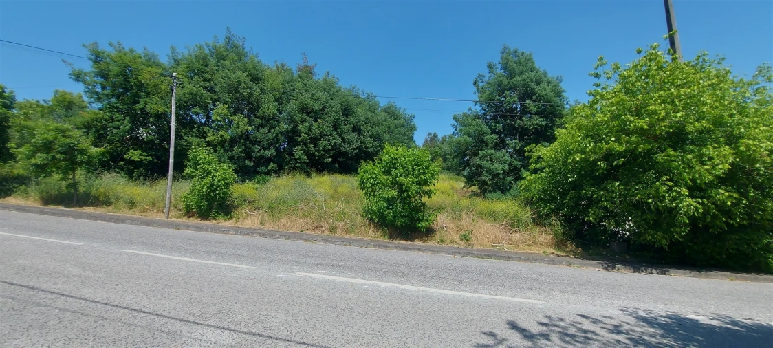 Terreno para Venda em Lousã e Vilarinho Foto 15