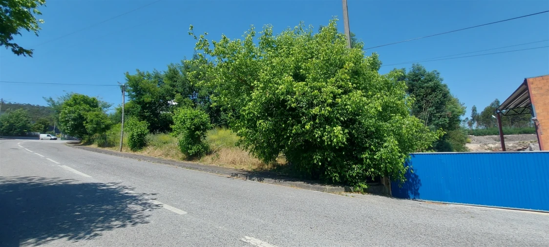 Terreno para Venda em Lousã e Vilarinho Foto 13