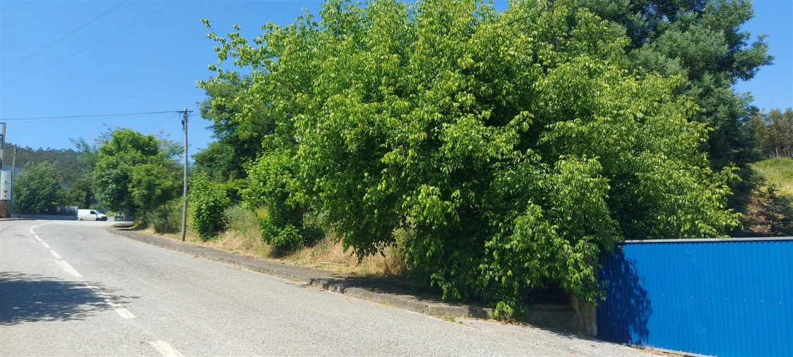 Terreno para Venda em Lousã e Vilarinho Foto 21